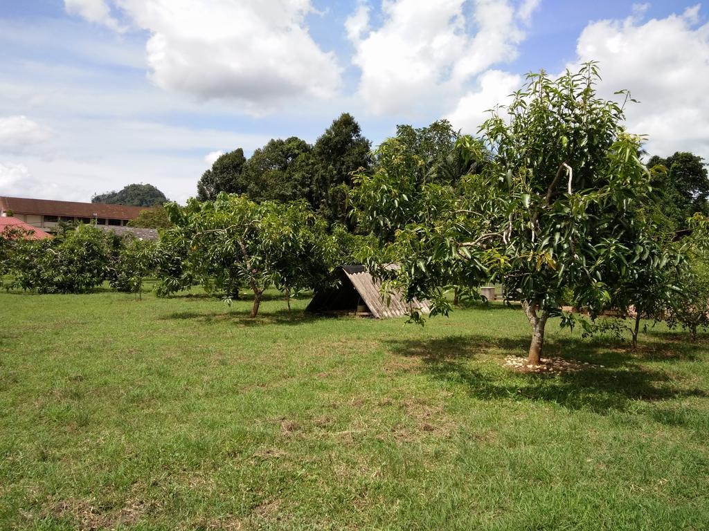 Harum Manis Country House Kangar Exteriör bild